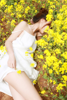 至尊红颜范文芳